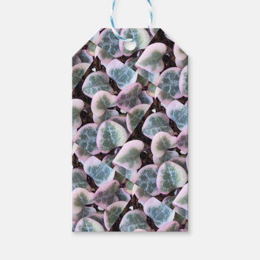 Chaîne variée de coeurs étiquettes cadeaux (Devant)