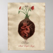 CHAKRA FAE - BASE POSTER (Voorkant)