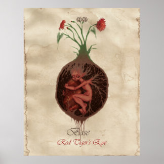 CHAKRA FAE - BASE POSTER