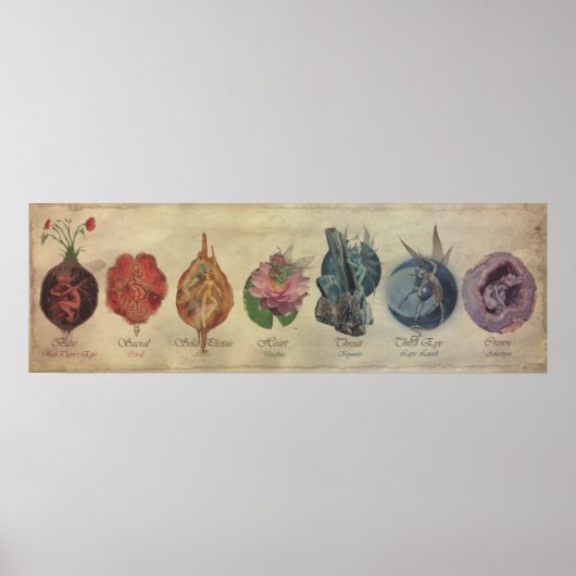 CHAKRA FAE CYCLE POSTER (Voorkant)