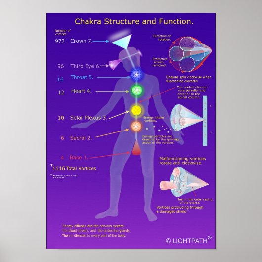 Chakra Structuur en functie Poster (Voorkant)
