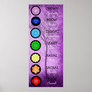Chakras Centers Chart Chi Energy Poster