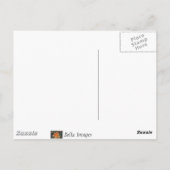 Chalet Treetop - carte postale (Dos)