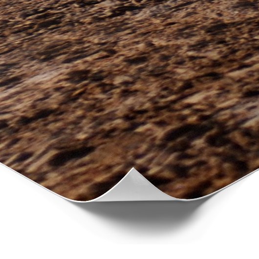 Challenger II Poster (Hoek)