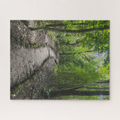 Challenging walk through Guatemalan rain forest  Legpuzzel (Horizontaal)