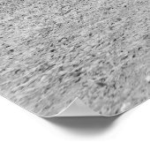 Chalmette Monument: 1900 Poster (Hoek)