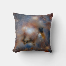 Chamaeleon I Donkere Wolk Kussen