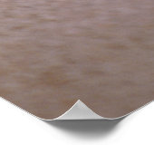 Chambered Nautilus Poster (Hoek)