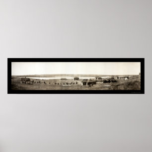 Chamberlain SD Indische foto 1907 Poster