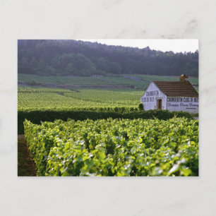 Chambertin Clos de Beze Grand Cru wijngaard met Briefkaart