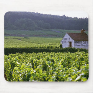Chambertin Clos de Beze Grand Cru wijngaard met Muismat