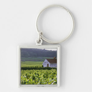 Chambertin Clos de Beze Grand Cru wijngaard met Sleutelhanger