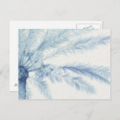 Chambray Palms II Briefkaart (Voorkant / Achterkant)