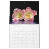 Chambre noire 2019 de Digitals - calendrier (Mar 2027)