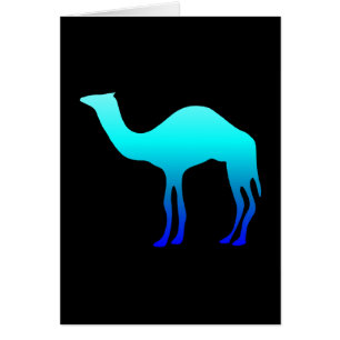 Chameau Bleu