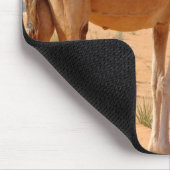 Chameau pour le tapis de souris d'Arabes (Coin)