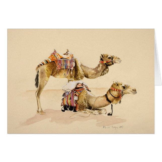 Chameaux de PETRA 2007 (Devant horizontal)