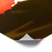 Chameleon 1 poster (Hoek)
