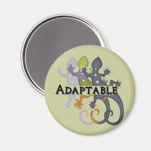 Chameleon Adaptable Magneet (Voorkant / Achterkant)