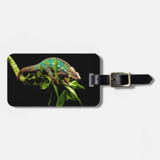 Chameleon Bagagelabel (Voorkant horizontaal)