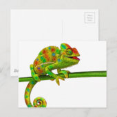 Chameleon Briefkaart (Voorkant / Achterkant)