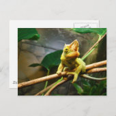 Chameleon Briefkaart (Voorkant / Achterkant)