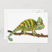 Chameleon Briefkaart (Voorkant / Achterkant)
