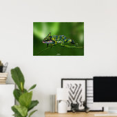 Chameleon by Johannes Stötter Poster (Thuiskantoor)