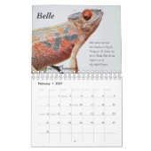 Chameleon Calendar Kalender (Feb 2027)