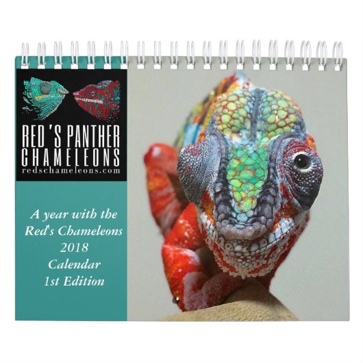 Chameleon Calendar Kalender (Hoes)