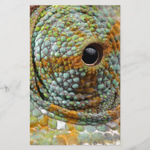Chameleon Eye Mod Stijlvol Dier Briefpapier