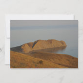 Chameleon Feestdagenkaart (Voorkant)