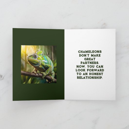 CHAMELEON FIN DE LA CARTE DE RELATION (Intérieur)