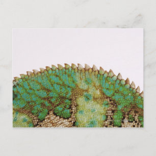 Chameleon-huidverandering Briefkaart