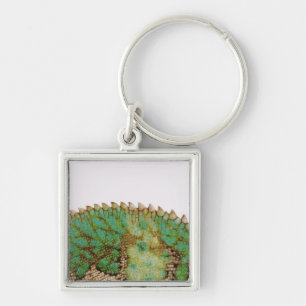 Chameleon-huidverandering Sleutelhanger