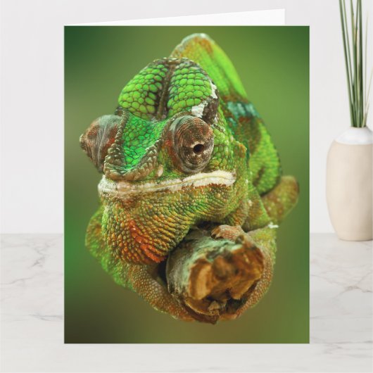 Chameleon Kaart (Voorkant)