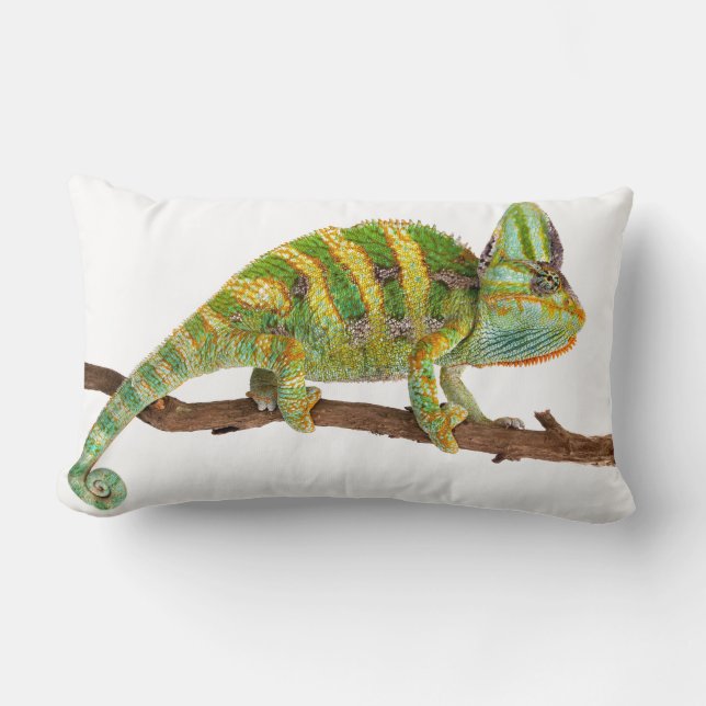 Chameleon Kussen (Voorkant)