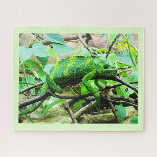 Chameleon Legpuzzel (Horizontaal)