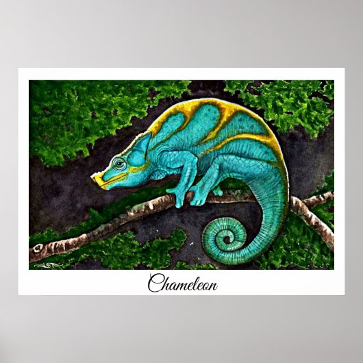 Chameleon Life Poster (Voorkant)