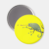 CHAMELEON MAGNEET (Voorkant / Achterkant)