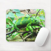 Chameleon Muismat (Met muis)