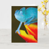 Chameleon op een rode en gele tulp kaart (Gele Bloem)