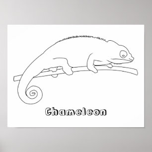 Chameleon Outline Tekening Posters