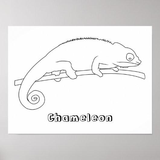 Chameleon Outline Tekening Posters (Voorkant)