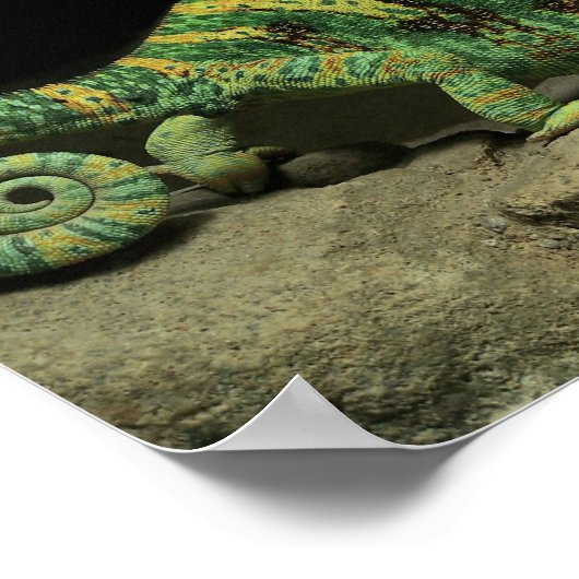 Chameleon Poster op achterzijde (Hoek)