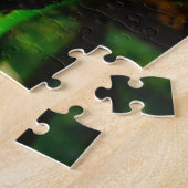 Chameleon Puzzle (Côté)