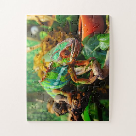Chameleon Puzzle (Vertical)