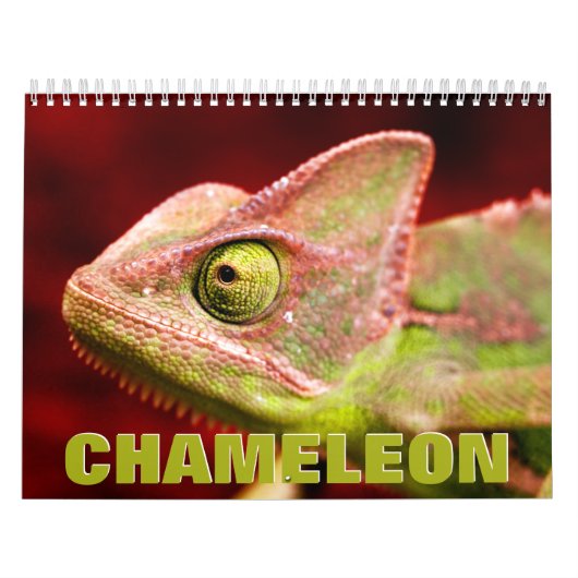 Chameleon Wall Agenda Kalender (Hoes)
