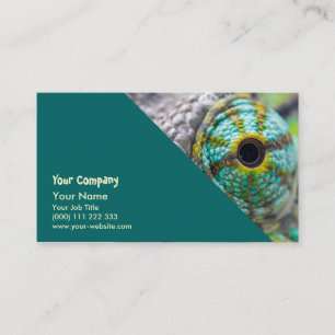 Chameleonoog Visitekaartje