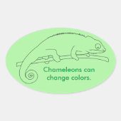 Chameleons can change coBijgevolg, custom stickers (Voorkant)